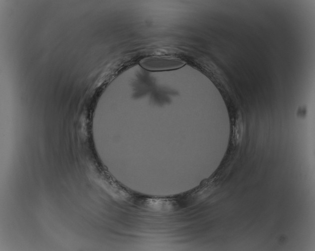 X0000114720520200911181407