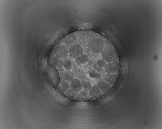 X0000114720523200911181407