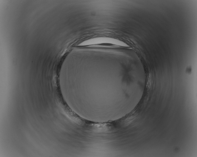 X0000114720524200911181407