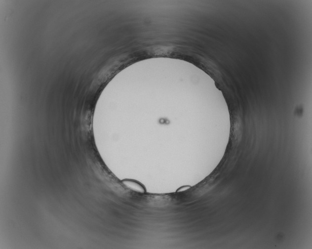 X0000114720525200911181407