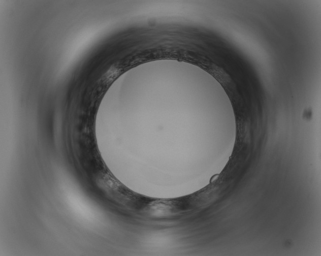 X0000114720526200911181407