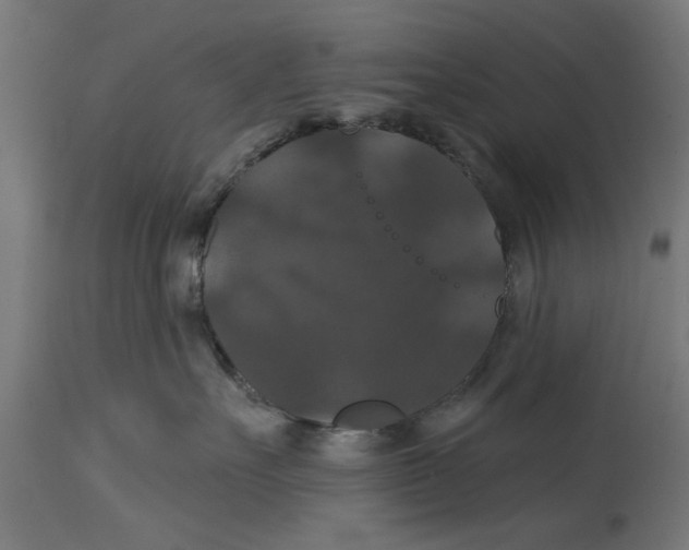 X0000114720527200911181407