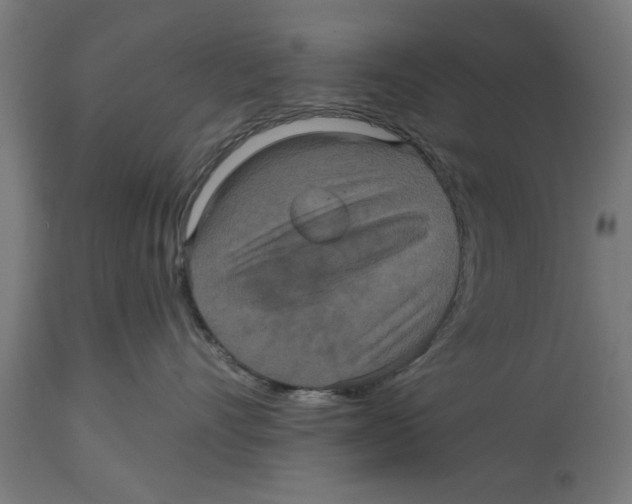 X0000114720528200911181407