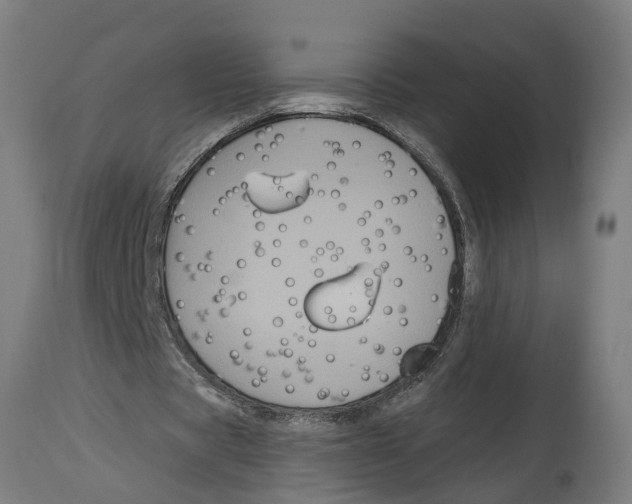 X0000114720529200911181406