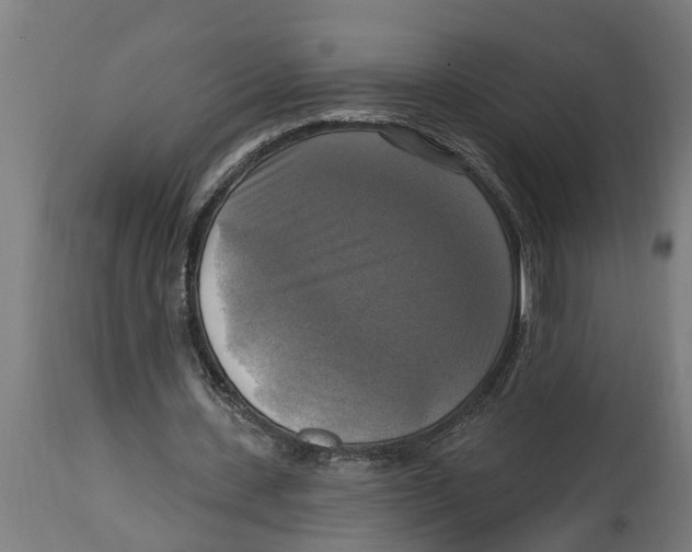 X0000114720531200911181406