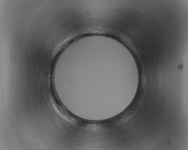 X0000114720538200911181406