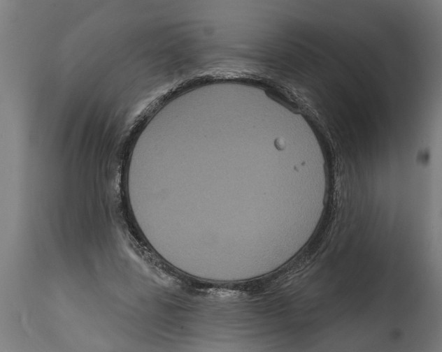 X0000114720539200911181407