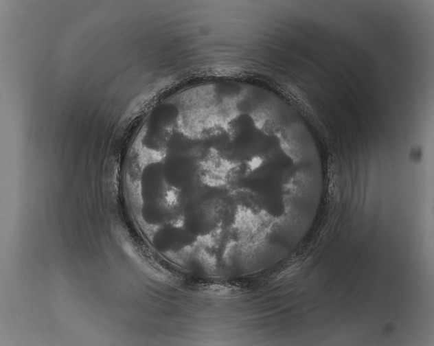 X0000114720542200911181407