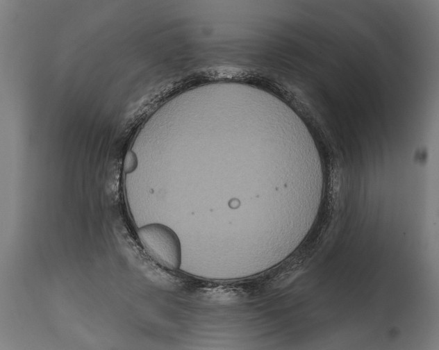 X0000114720545200911181407