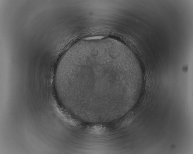 X0000114720546200911181407