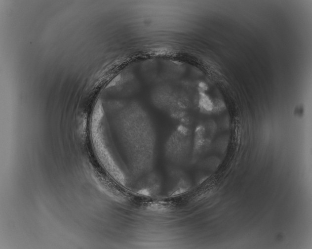 X0000114720550200911181407