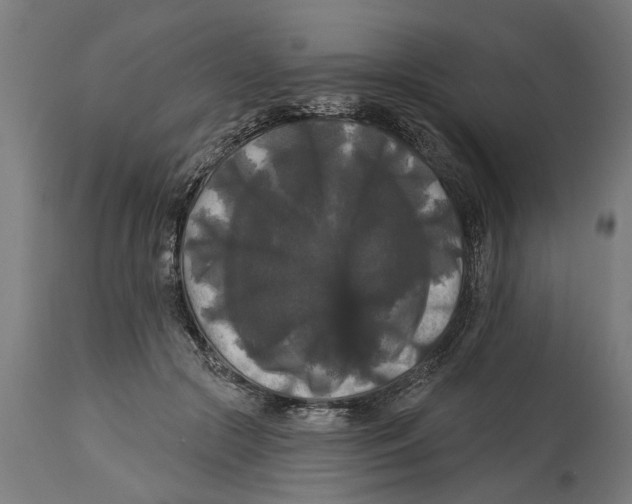 X0000114720553200911181407