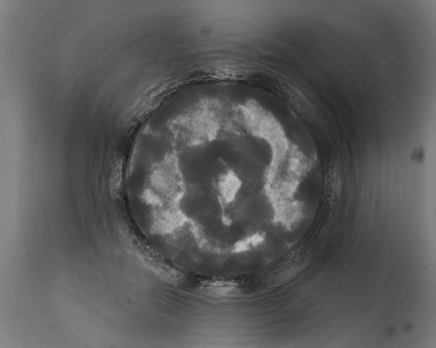 X0000114720554200911181407