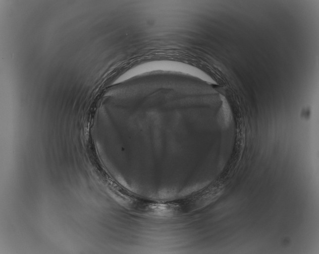 X0000114720558200911181407