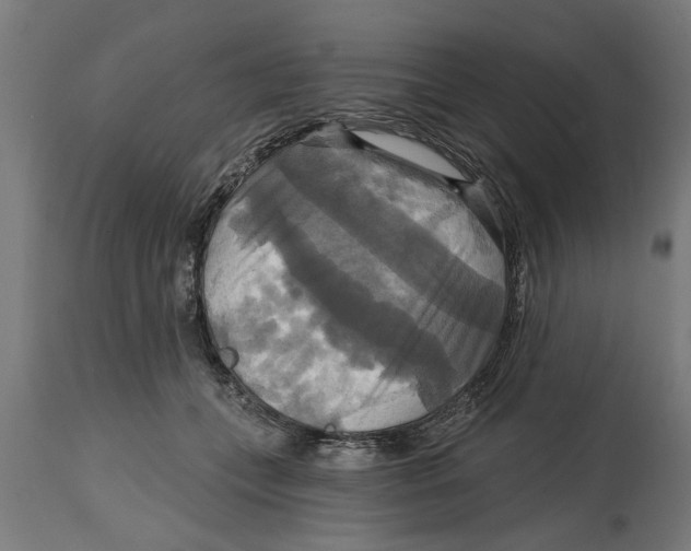 X0000114720559200911181407