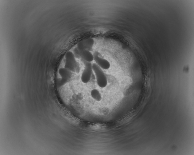 X0000114720561200911181407