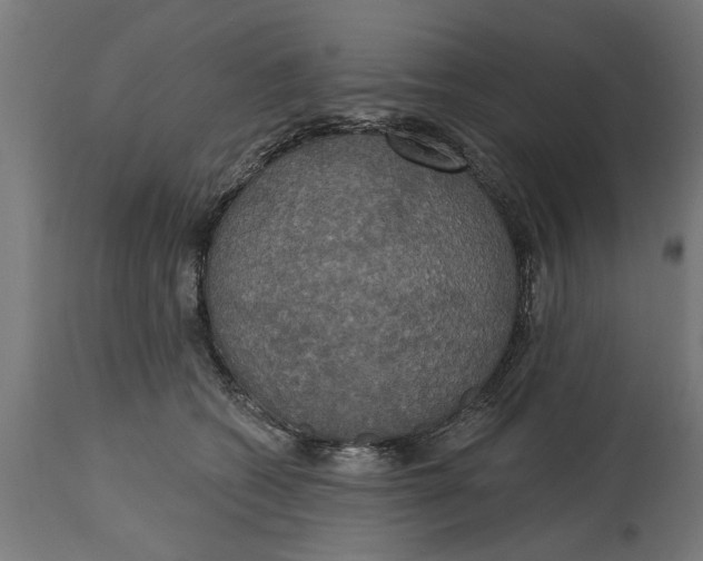 X0000114720562200911181407