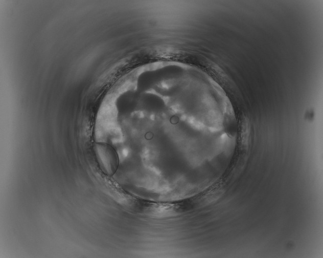 X0000114720569200911181407