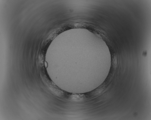 X0000114720571200911181407