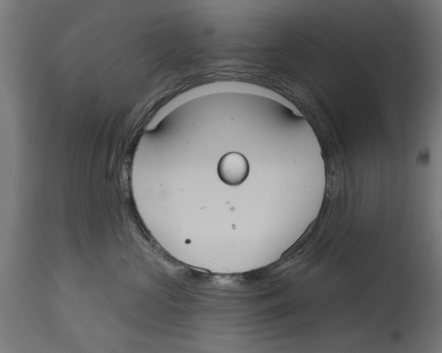 X0000114720573200911181407