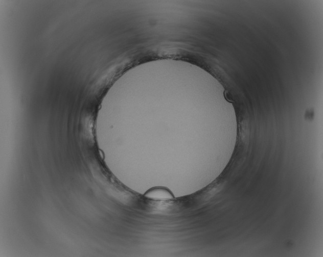 X0000114720575200911181407