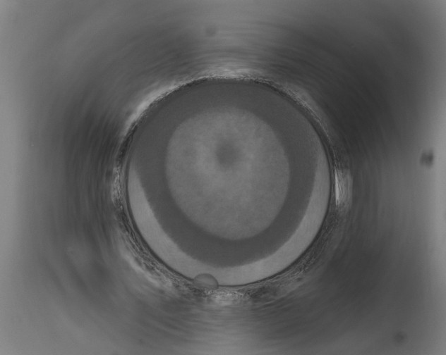 X0000114720579200911181406