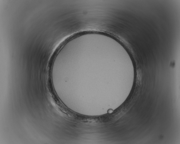 X0000114720580200911181406