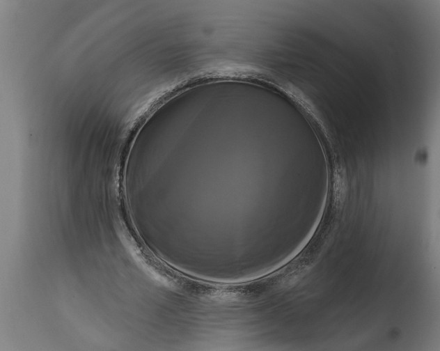 X0000114720581200911181406