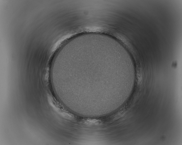 X0000114720583200911181406