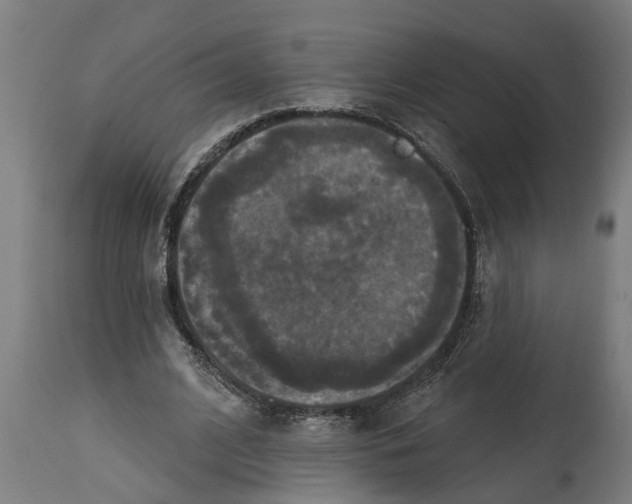 X0000114720584200911181406