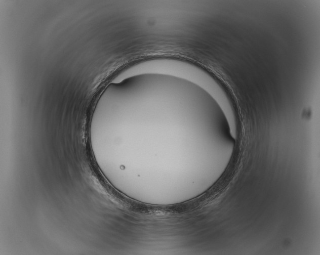 X0000114720585200911181406