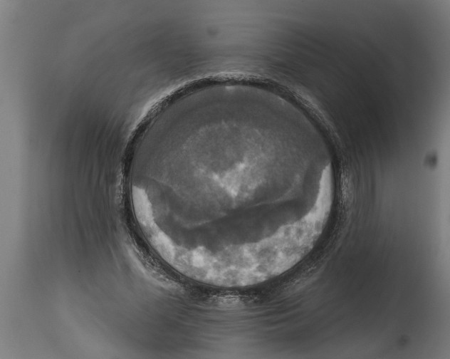 X0000114720588200911181406