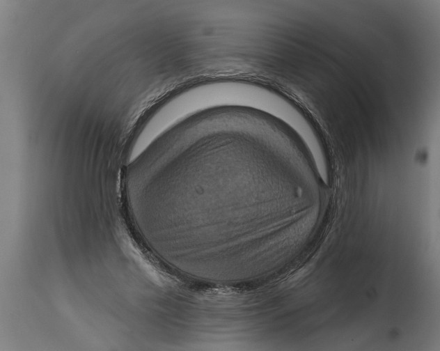 X0000114720589200911181406