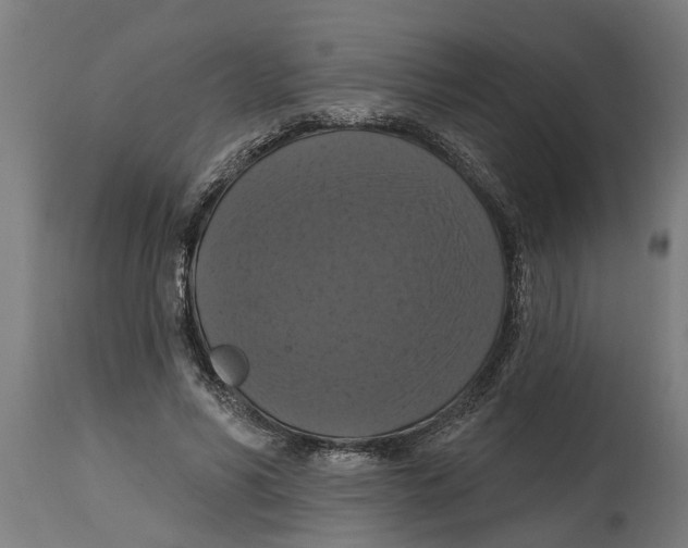 X0000114720590200911181406