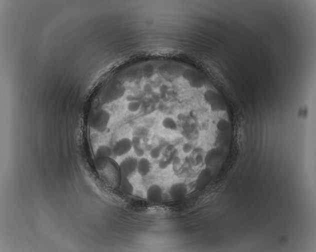 X0000114720591200911181406