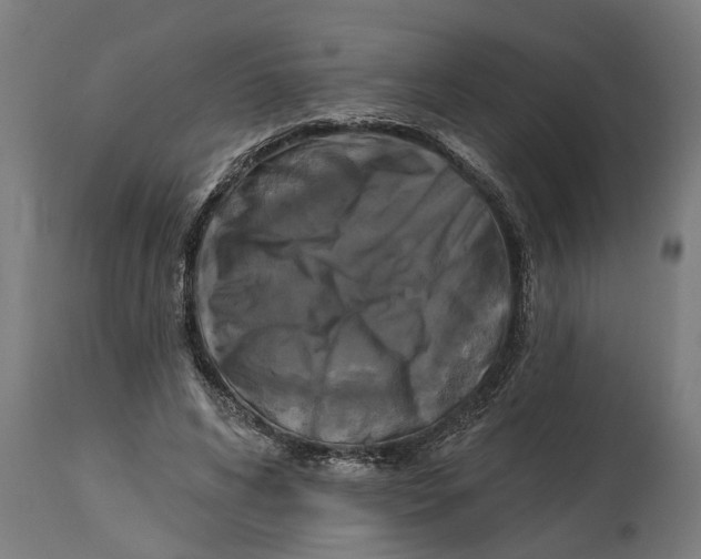 X0000114720592200911181406