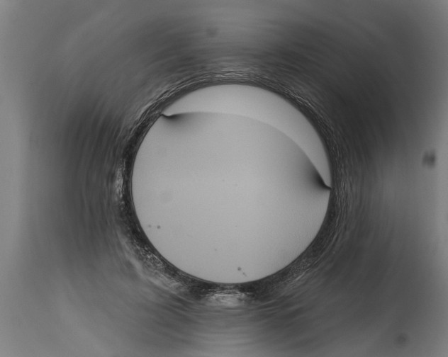 X0000114720595200911181406