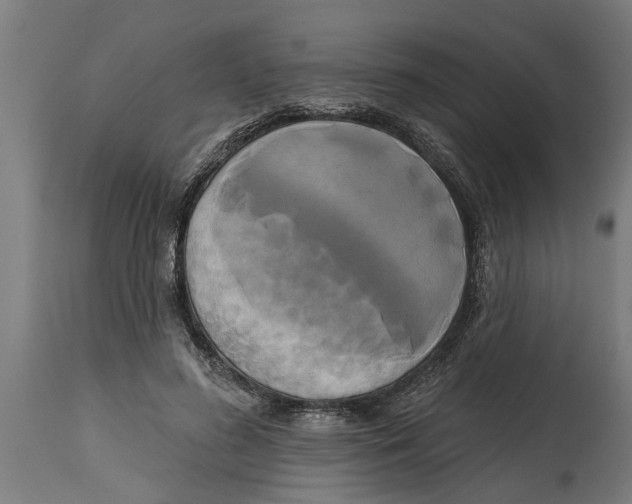 X0000114720596200911181406