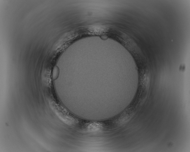 X0000114720599200911181406