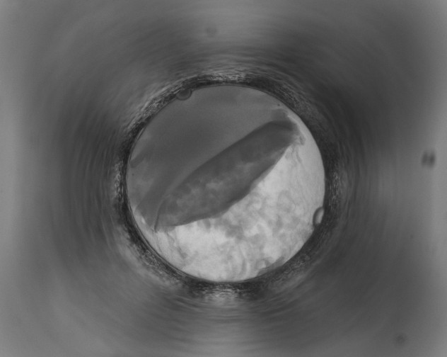 X0000114720600200911181406