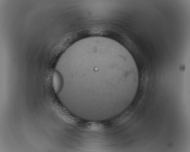 X0000114720601200911181406