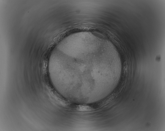 X0000114720605200911181406