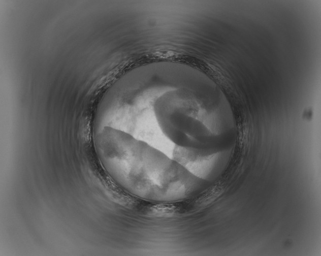 X0000114720606200911181406