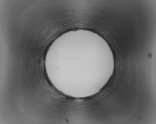 X0000114720609200911181406