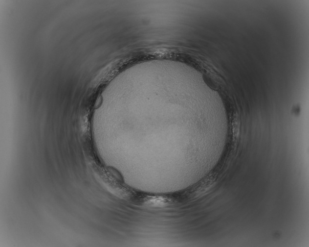 X0000114720611200911181406