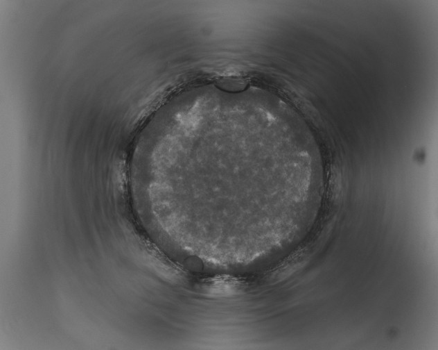 X0000114720612200911181406