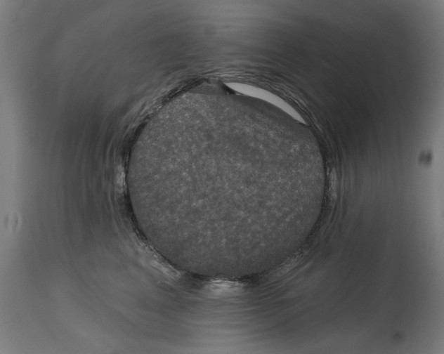 X0000114720617200911181406