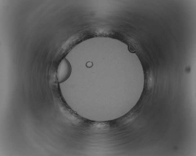 X0000114720619200911181406