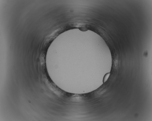 X0000114720620200911181406