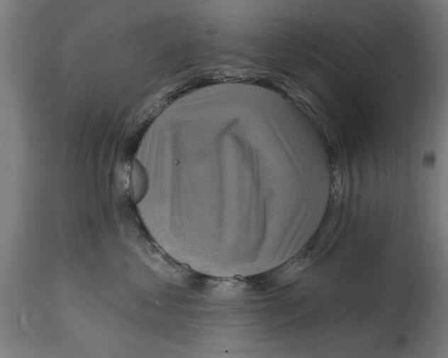 X0000114720621200911181406